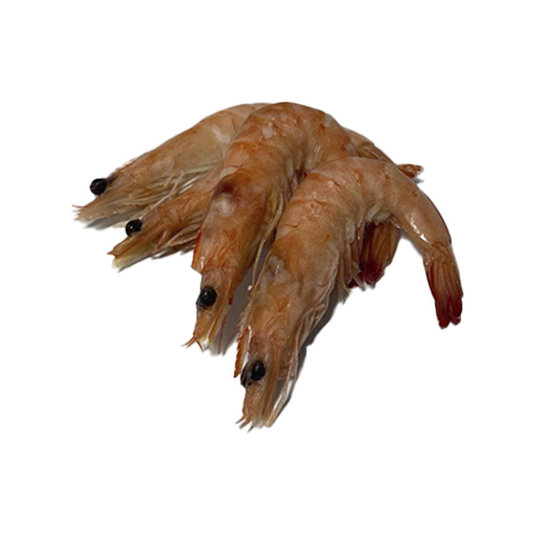 Steur garnalen 5kg