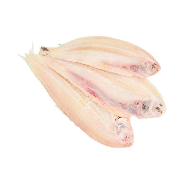 Sliptong (dv)