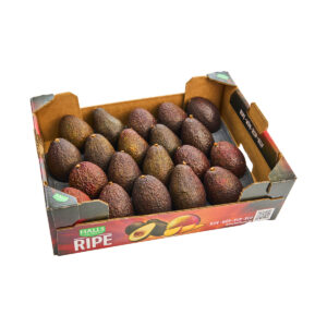 Avocado ripe 16 st