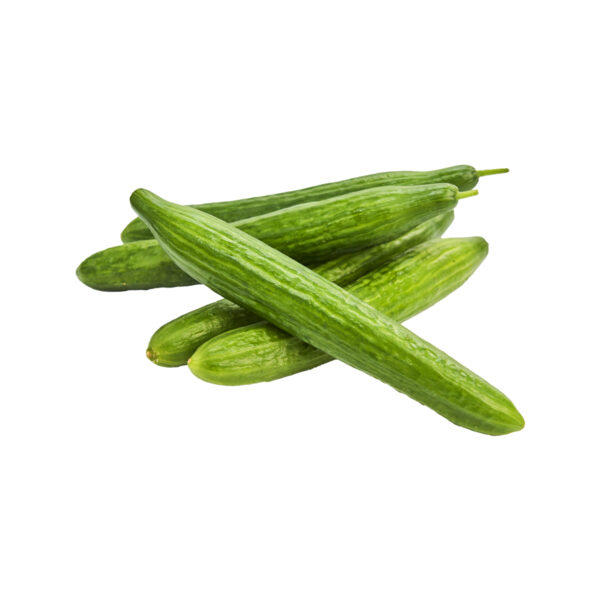 Komkommer 36 st