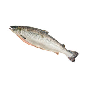Zalm heel 5/6 kg