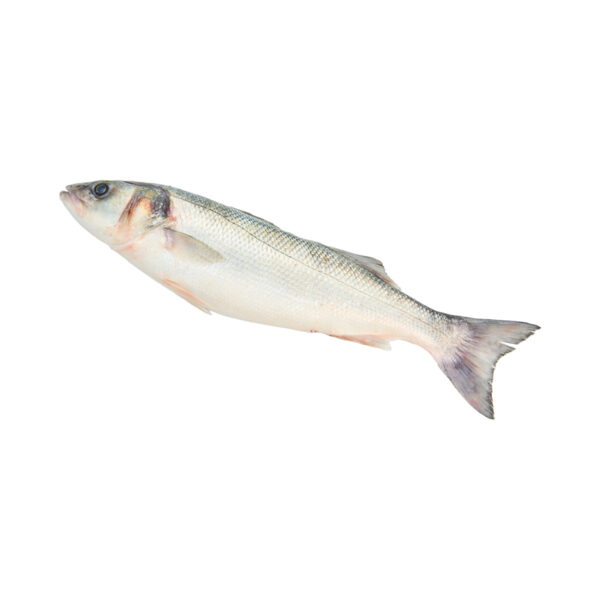 Zeebaars 600-800 gram per doos