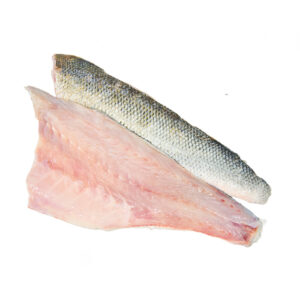 Zeebaars filet 5 kg (dv)
