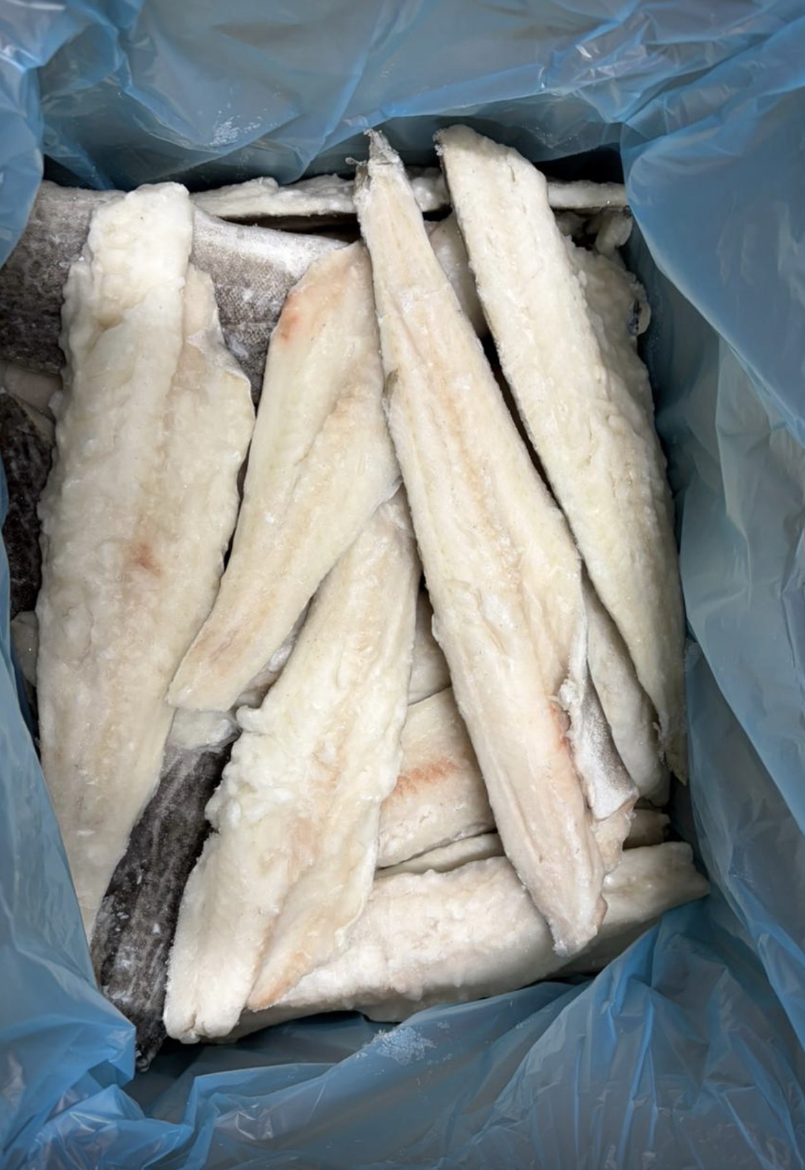 lekkerbek kabelajuw per 5 kg diepvries